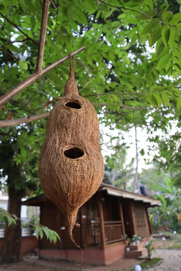 Greenchromide Homestays Mundrothuruth Zewnętrze zdjęcie